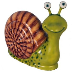 CARACOL CHICO