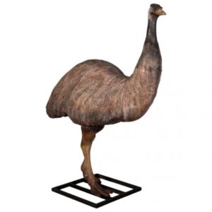 EMU