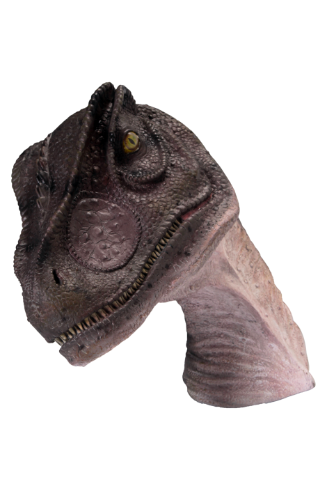 CABEZA ALOSAURIO 1 CABEZA ALOSAURIO