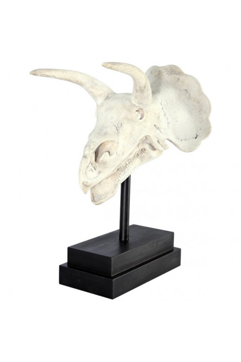 CRÁNEO TRICERATOPS EN BASE 1 CRÁNEO TRICERATOPS EN BASE