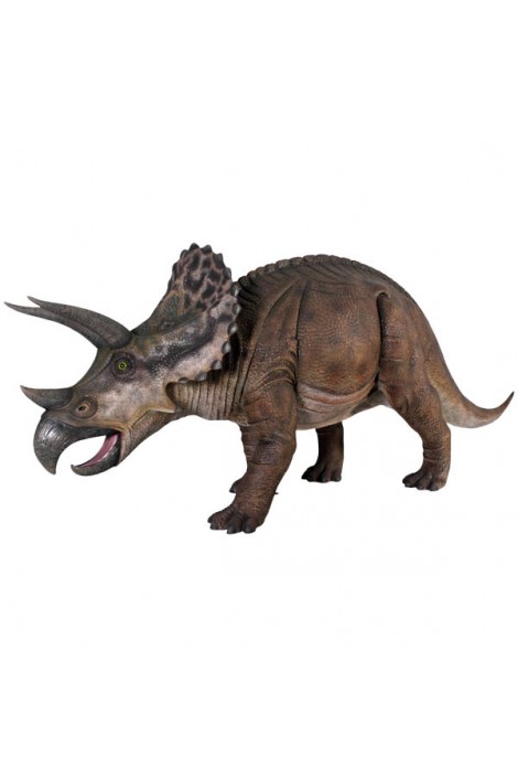 TRICERATOPS 1 TRICERATOPS